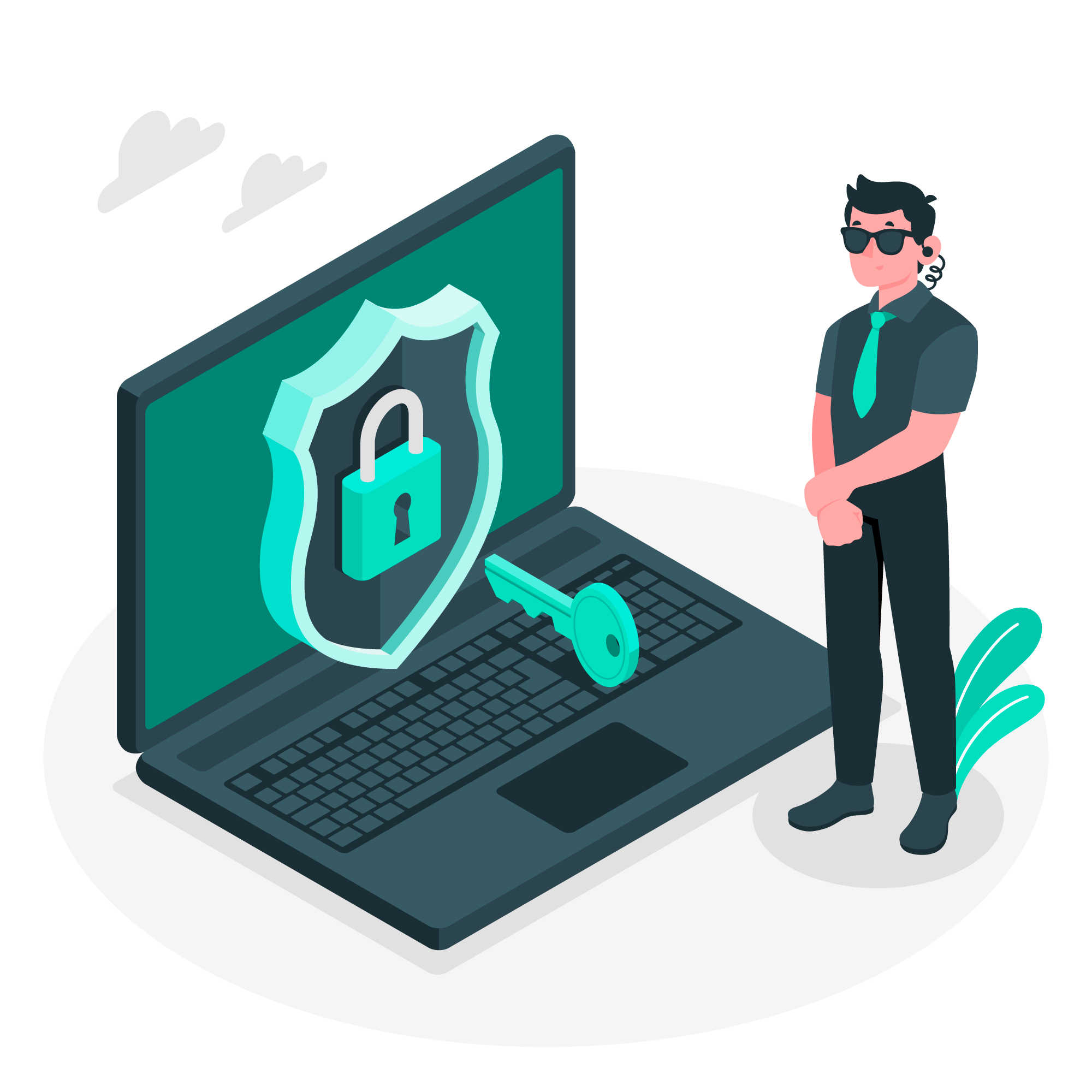 serguridad informatica